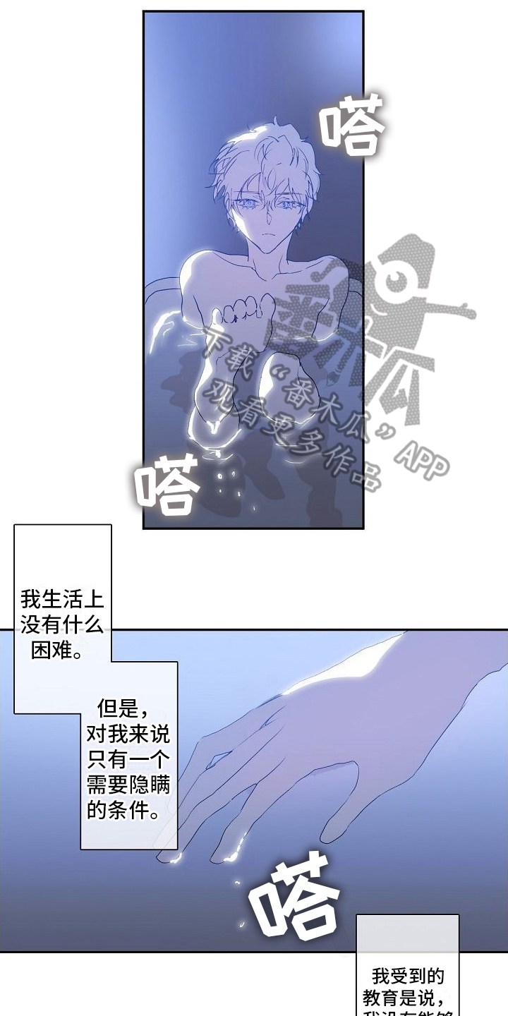 第10话：第10章：小愿望预览分镜