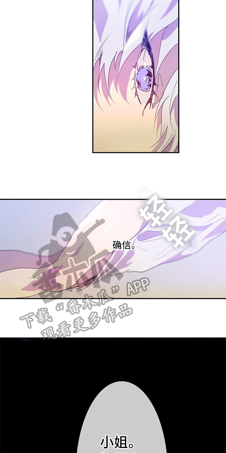 第11话：第11章：确定预览分镜