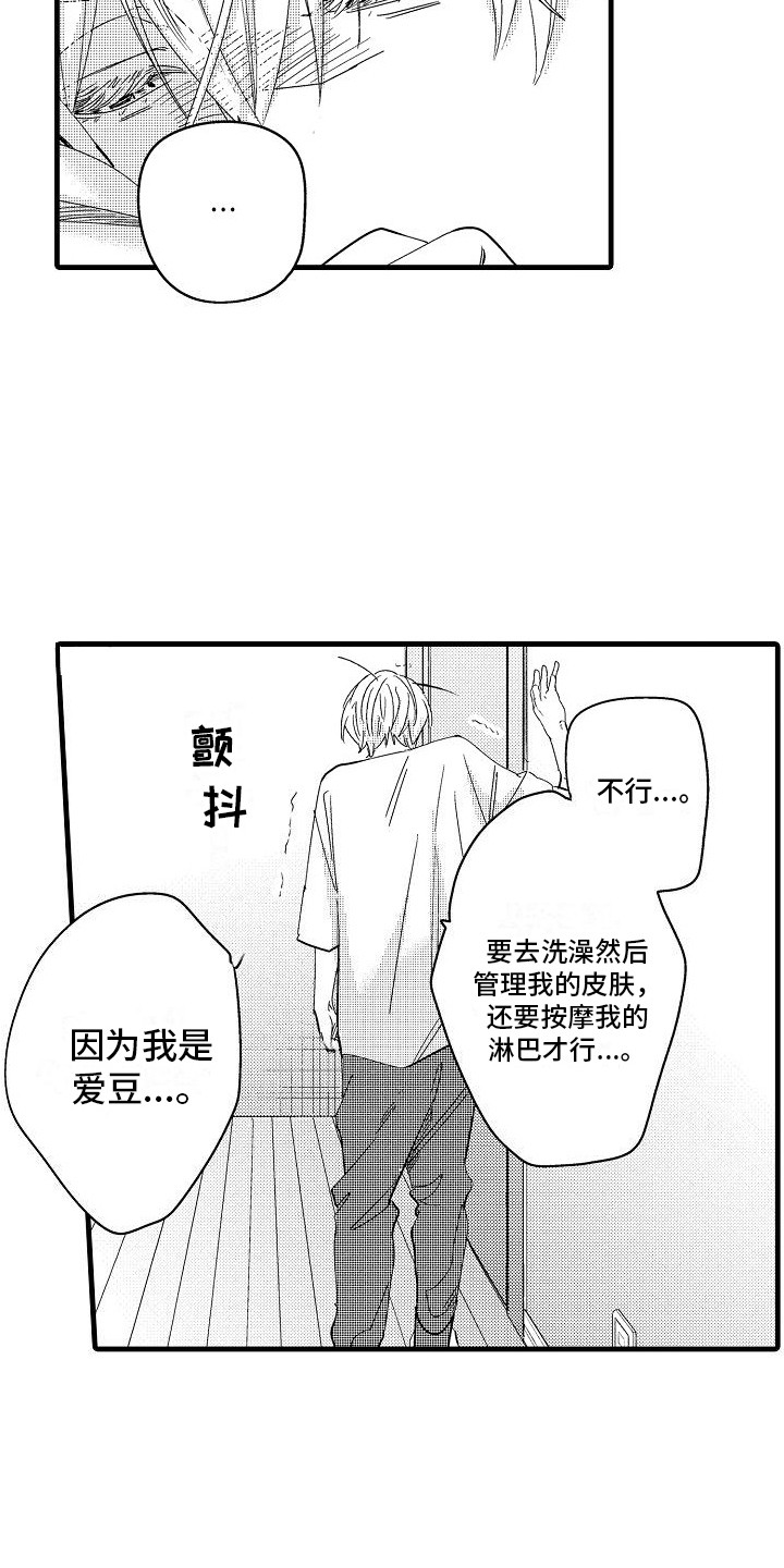 第7话：第7章：规则预览分镜