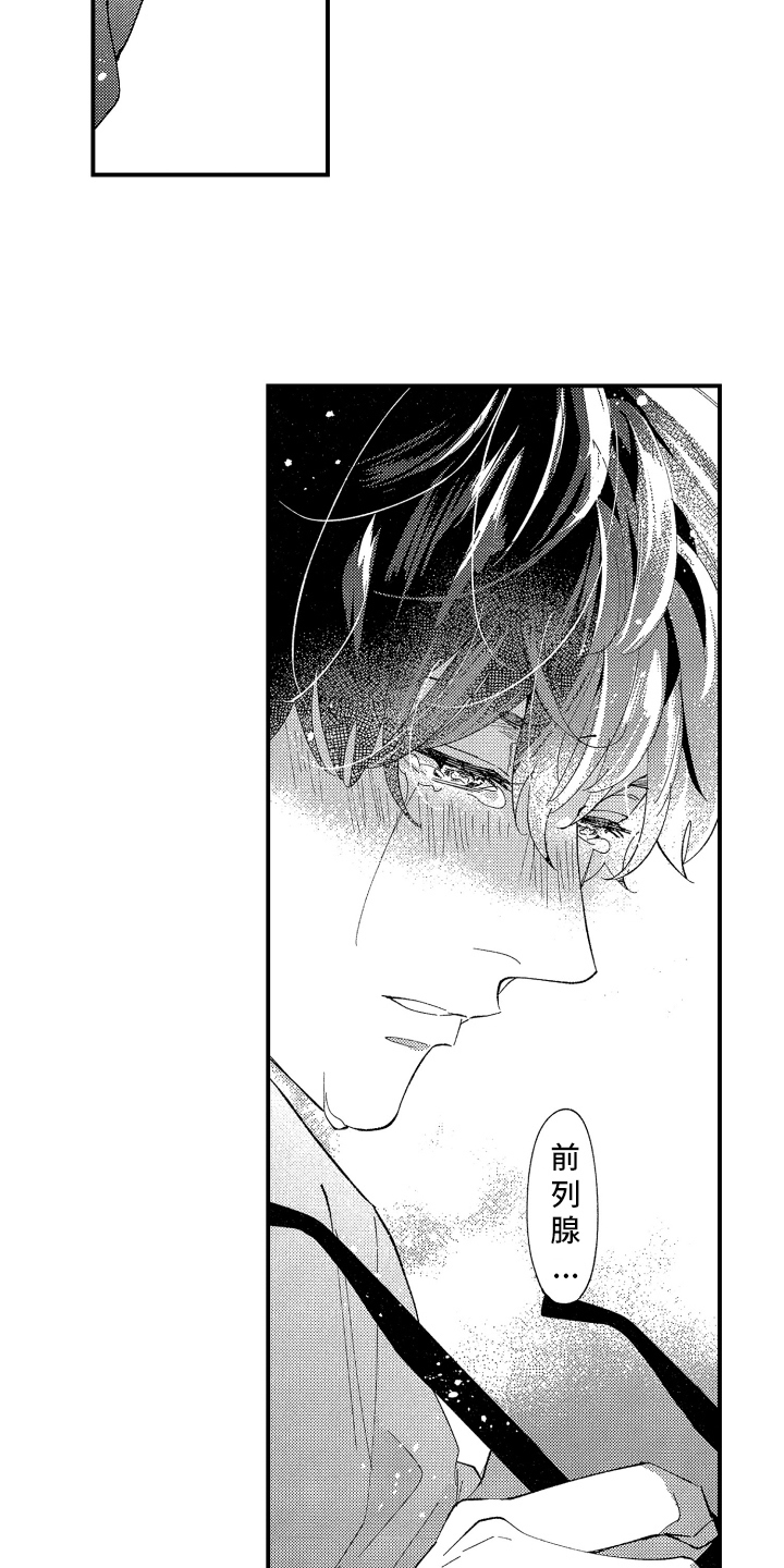 第3话：第3章：交给我预览分镜