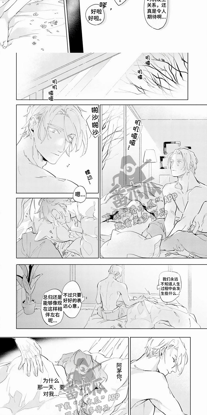 第11话：第11章：症状预览分镜