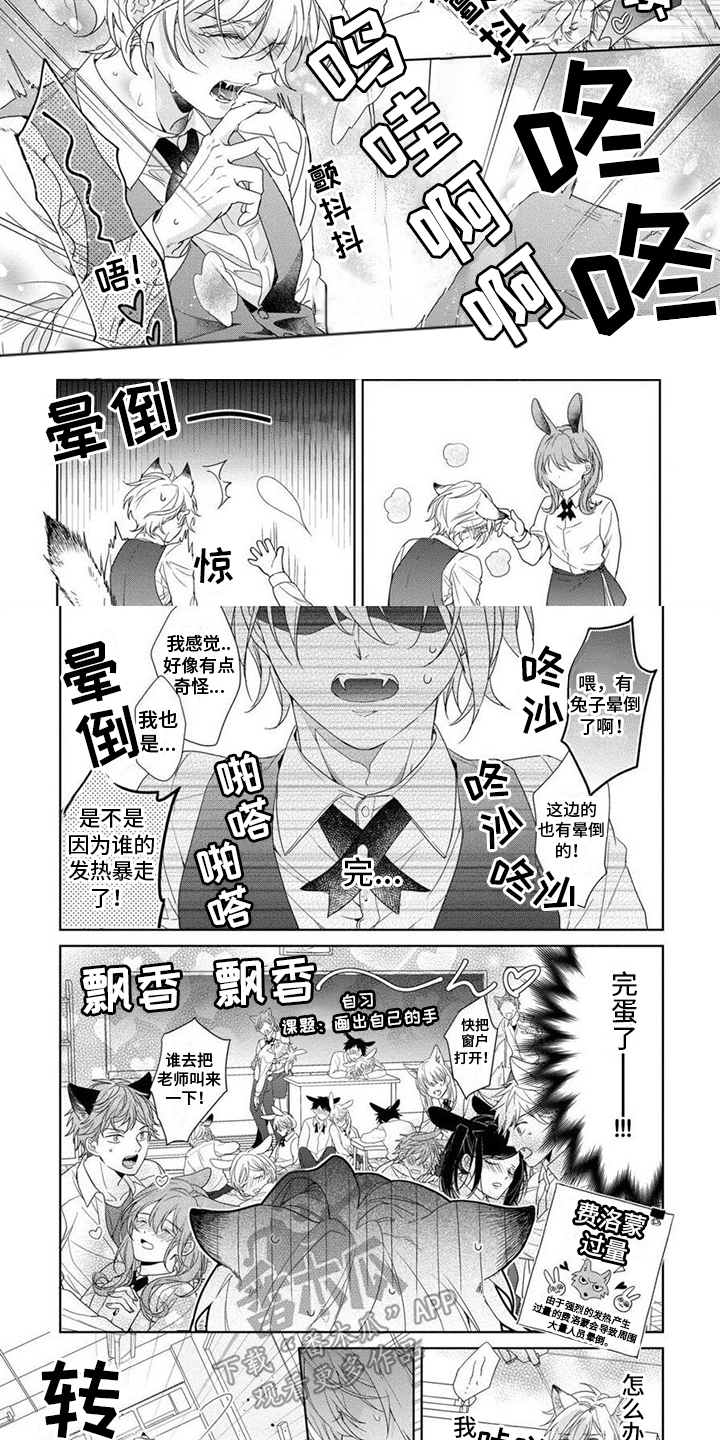 第5话：第5章：爱的证明预览分镜
