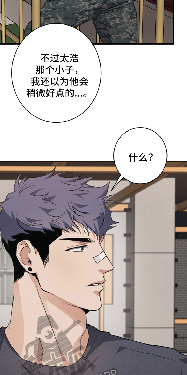 第5话：第5章：了解预览分镜