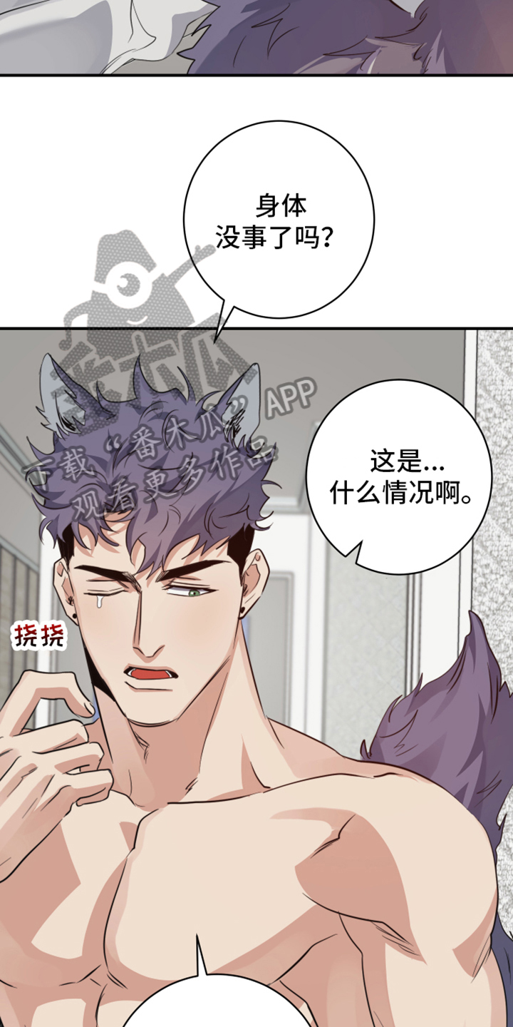 第10话：第10章：亲近【完结】预览分镜