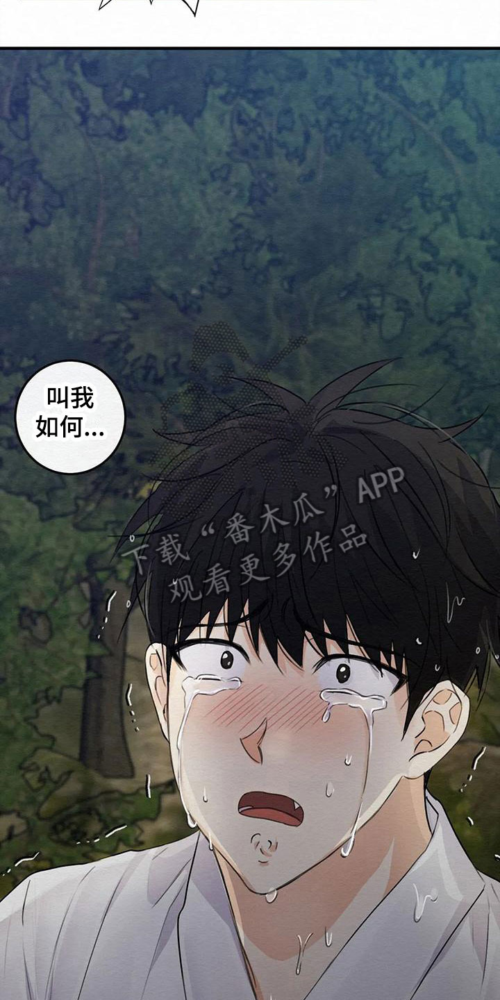 第7话：第7章：金棒棒银棒棒：不想忘记预览分镜
