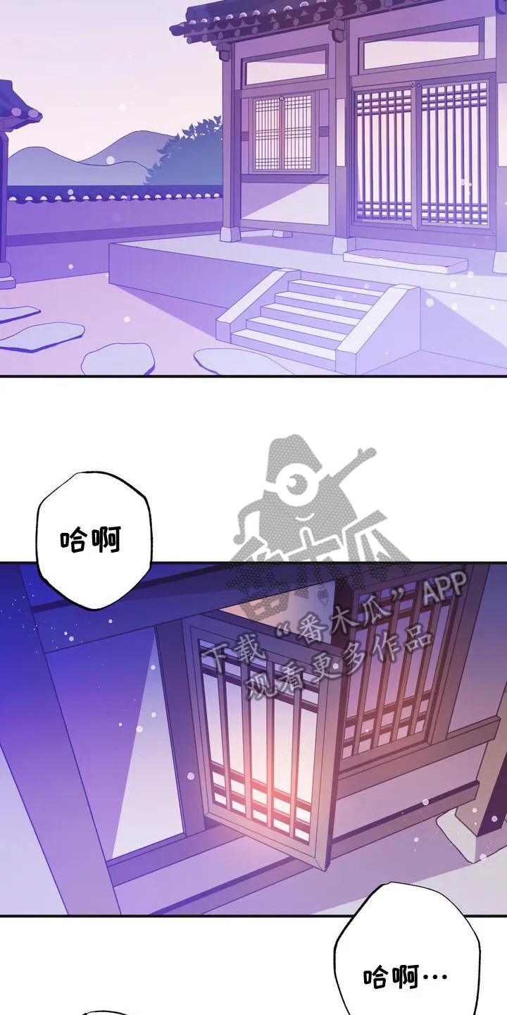 第9话：第9章：兔子的处境：兔子贵族预览分镜