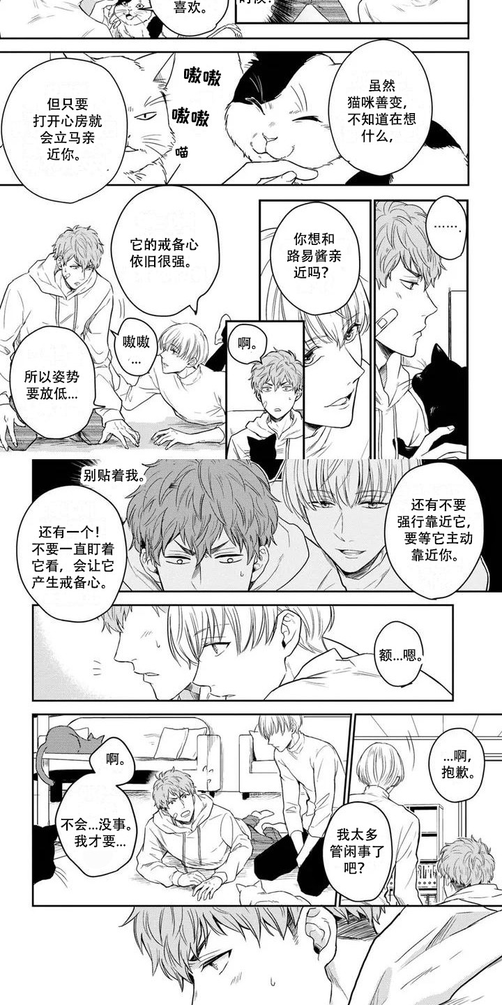 第2话：第2章：猫咪咖啡店预览分镜