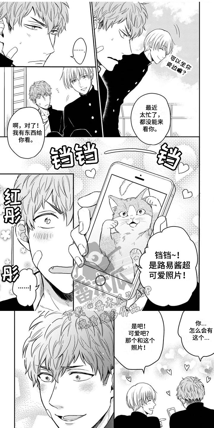 第6章:摊牌