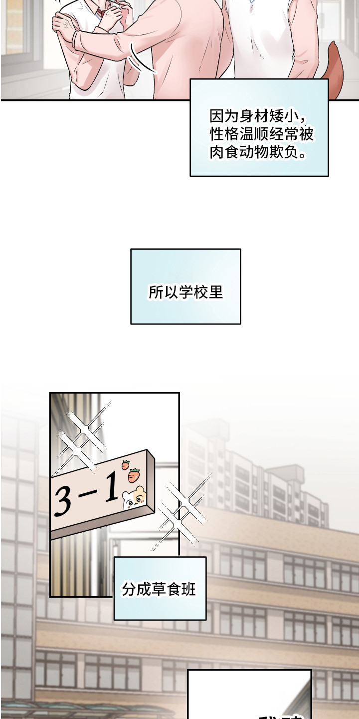 第1话：第1章：仓鼠预览分镜