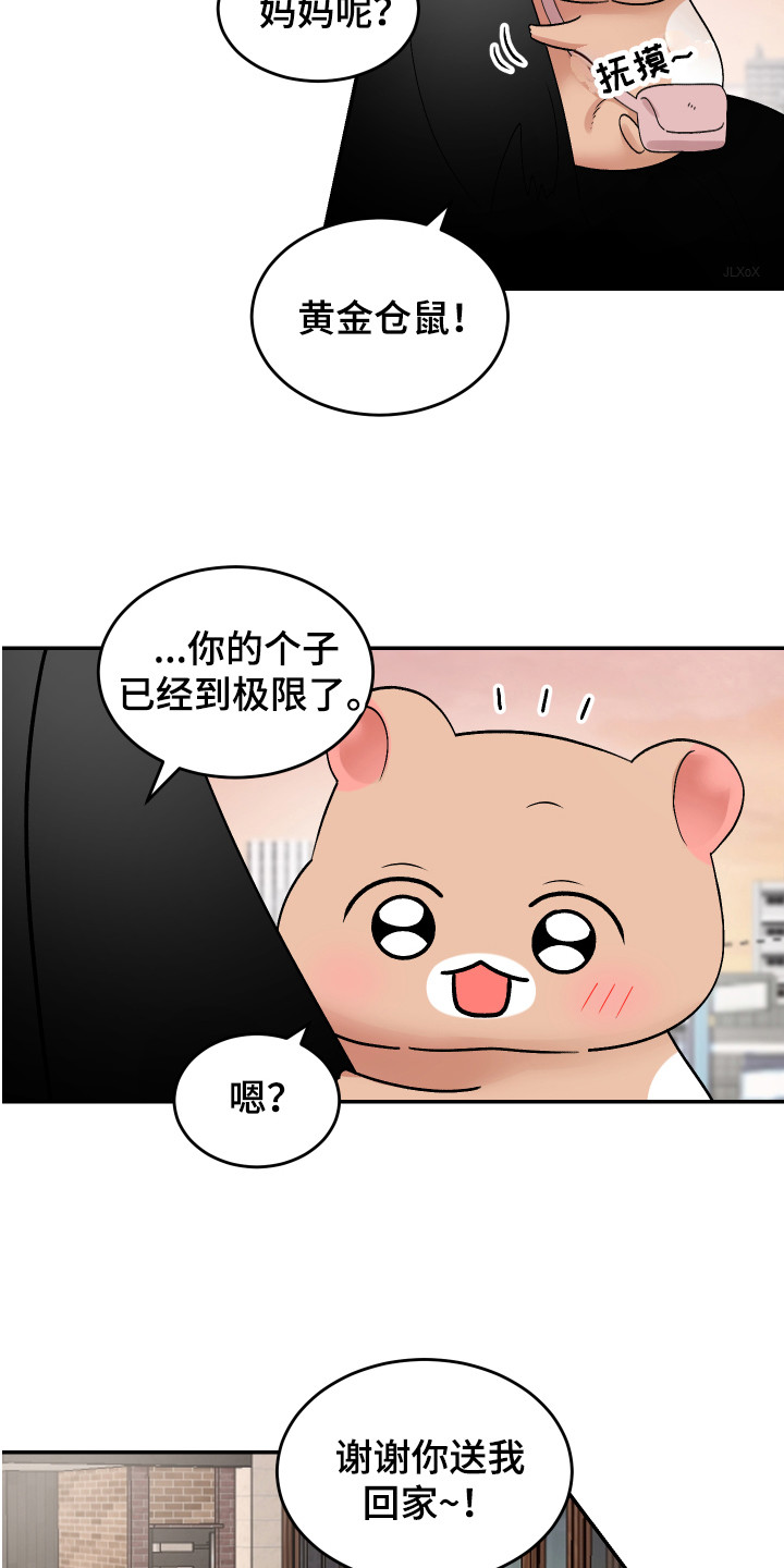 第14话：第14章：珍藏的食物预览分镜
