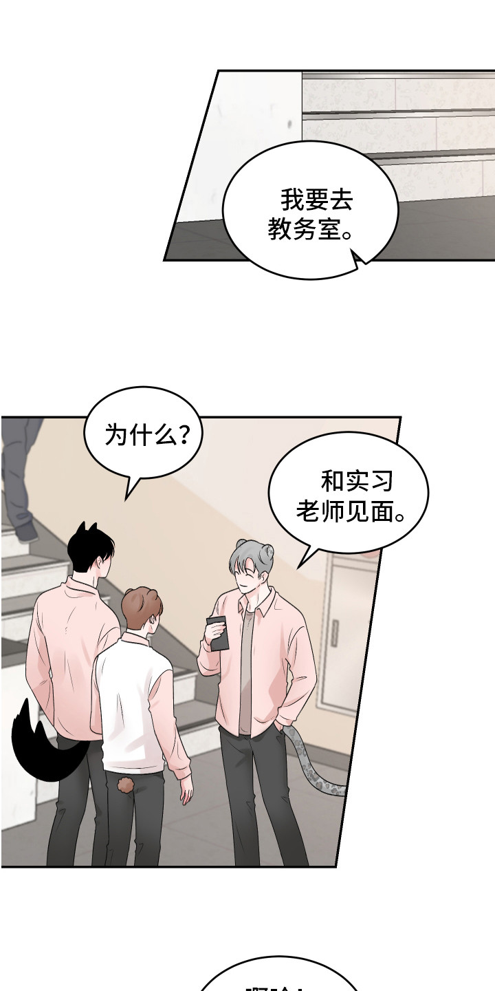 第21章:我的猛兽(完结)