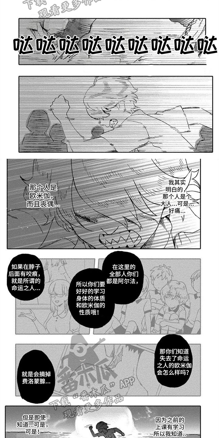 第13话：第13章：冷静预览分镜