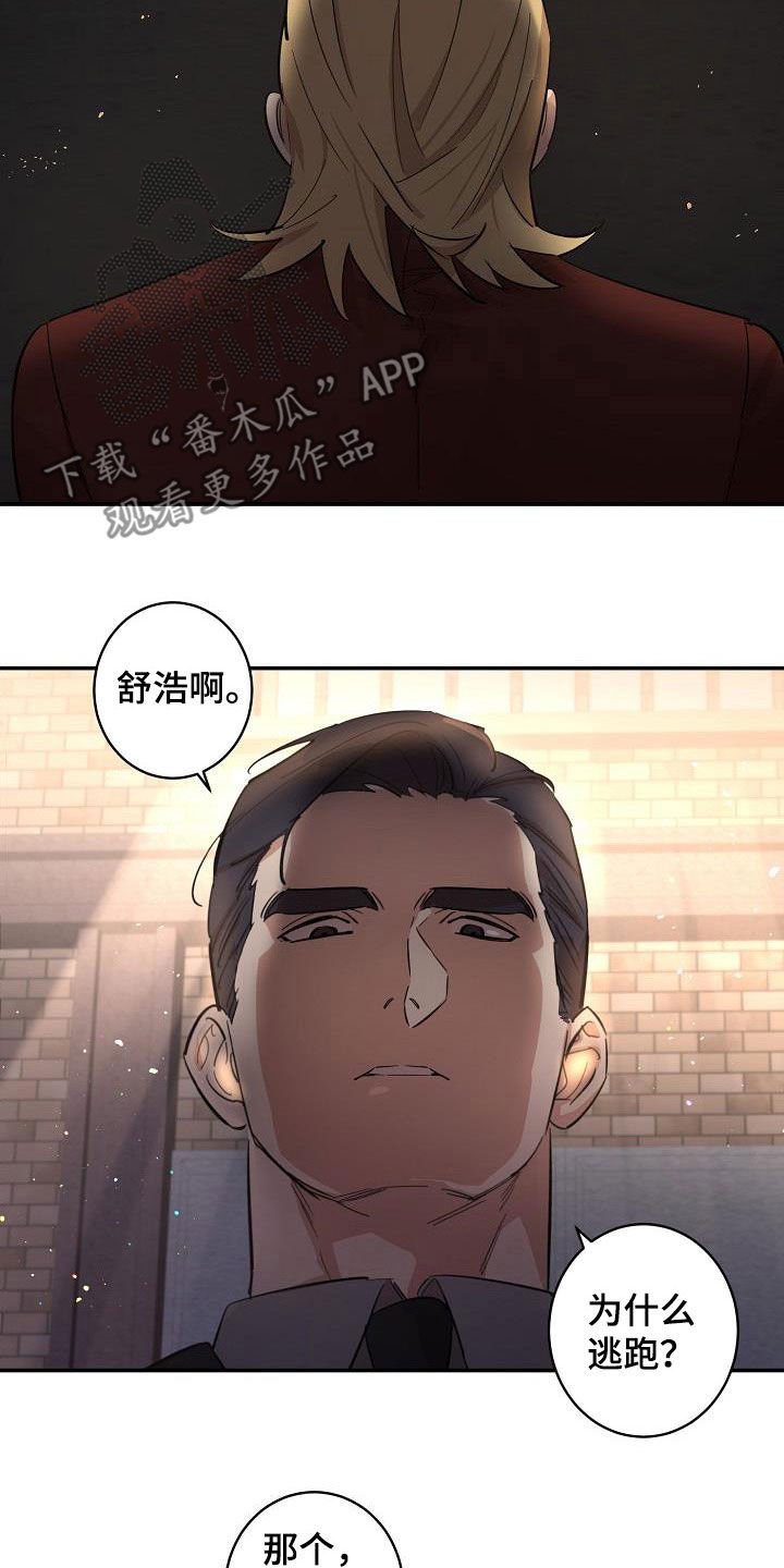 第13话：第13章：错觉预览分镜