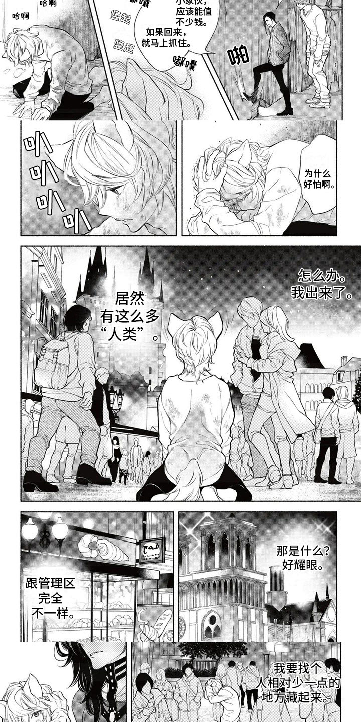 第1话：第1章：逃离预览分镜