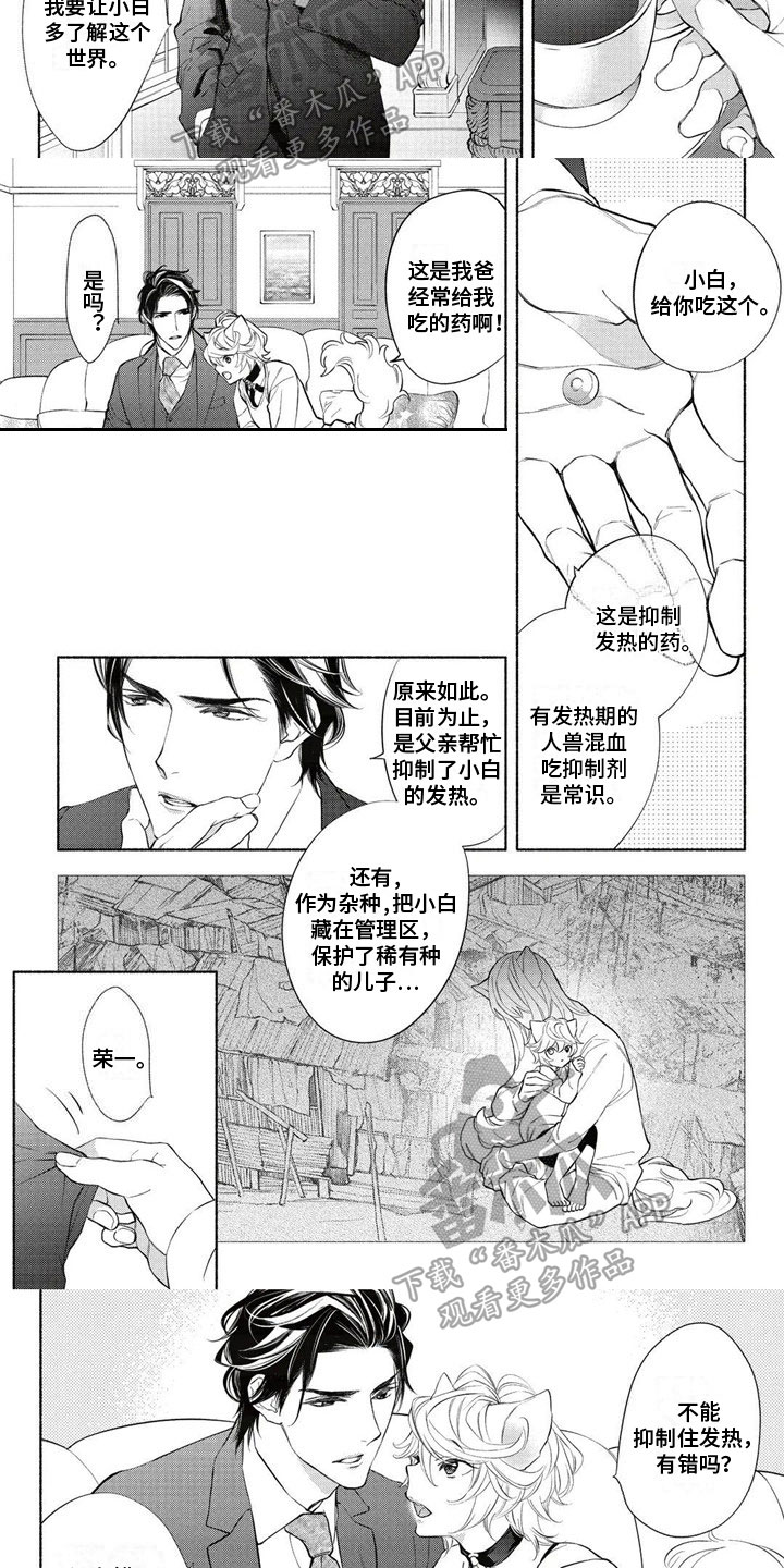 第5话：第5章：教育预览分镜