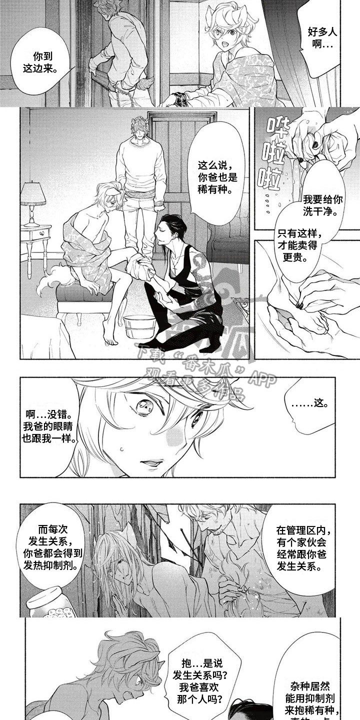 第10章:拍卖