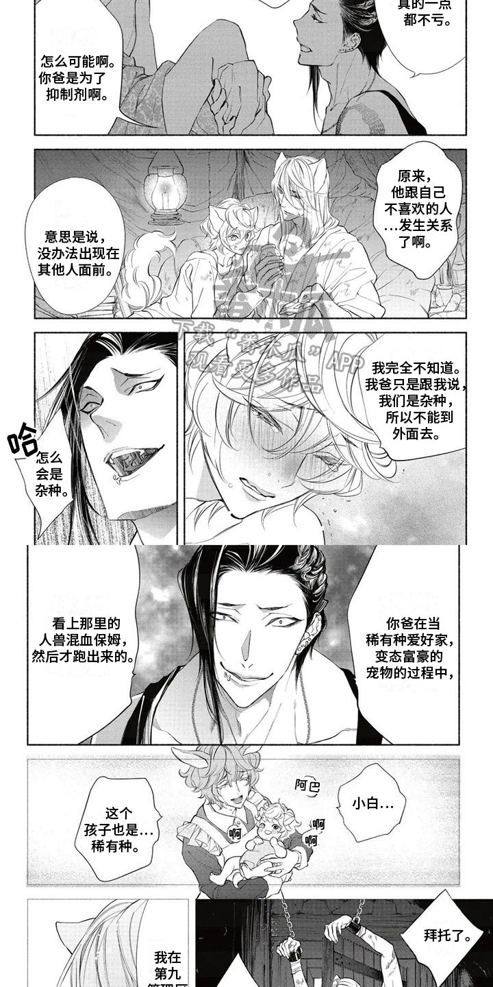 第10话：第10章：拍卖预览分镜