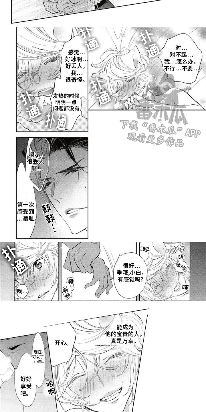 第13话：第13章：伴侣预览分镜