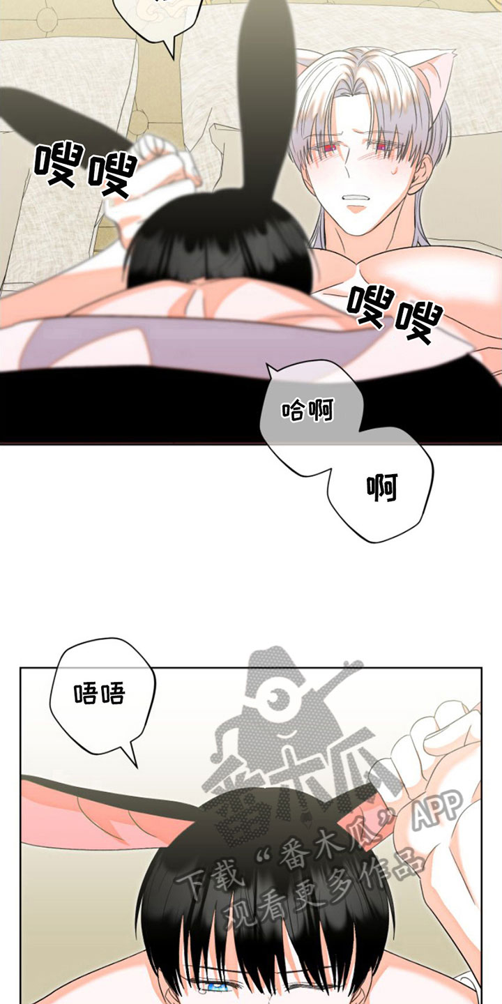 第8话：第8章：有天赋预览分镜