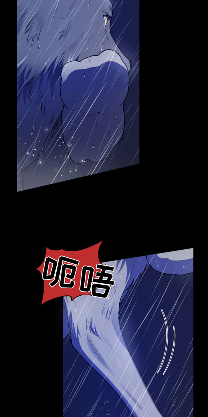 第1话：第1章：兔子救狼预览分镜