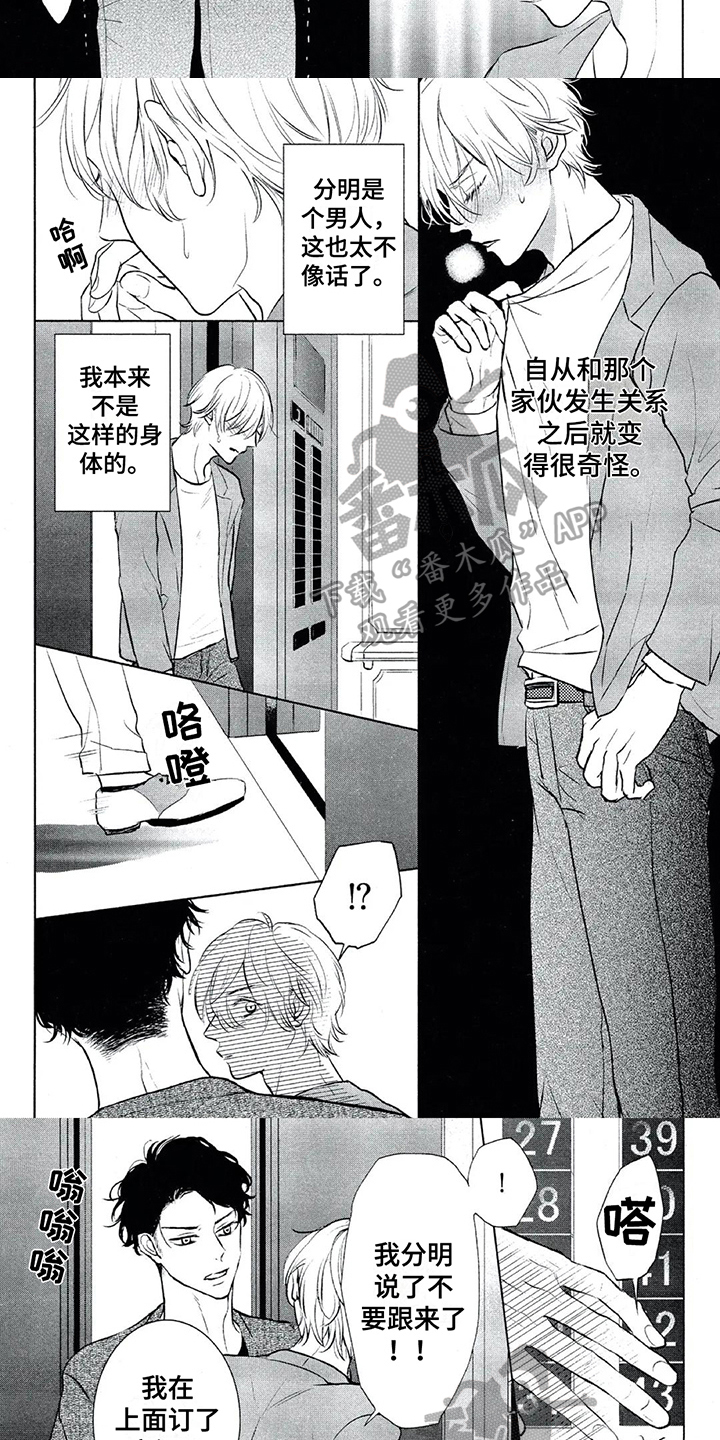 第9话：第9章：解释预览分镜