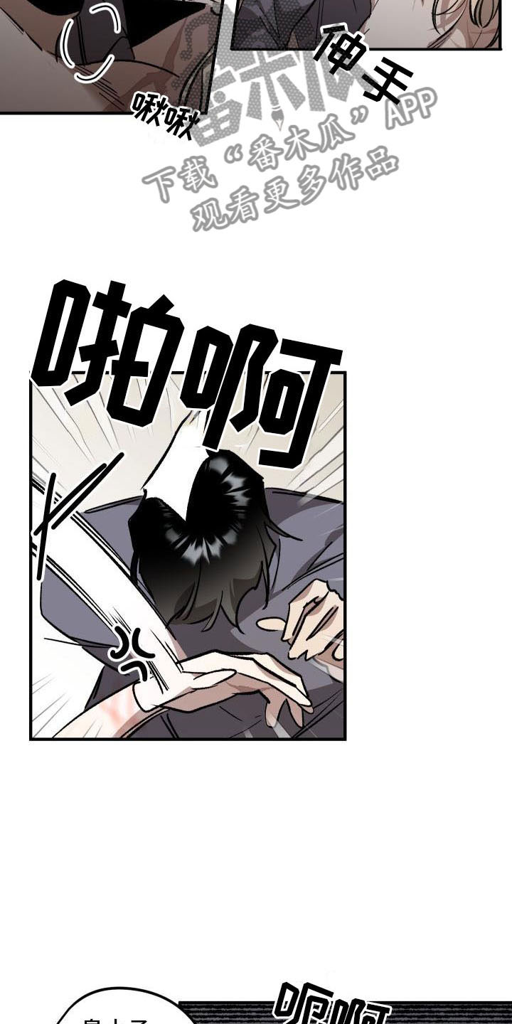 第12话：薰衣草花园：喜欢预览分镜