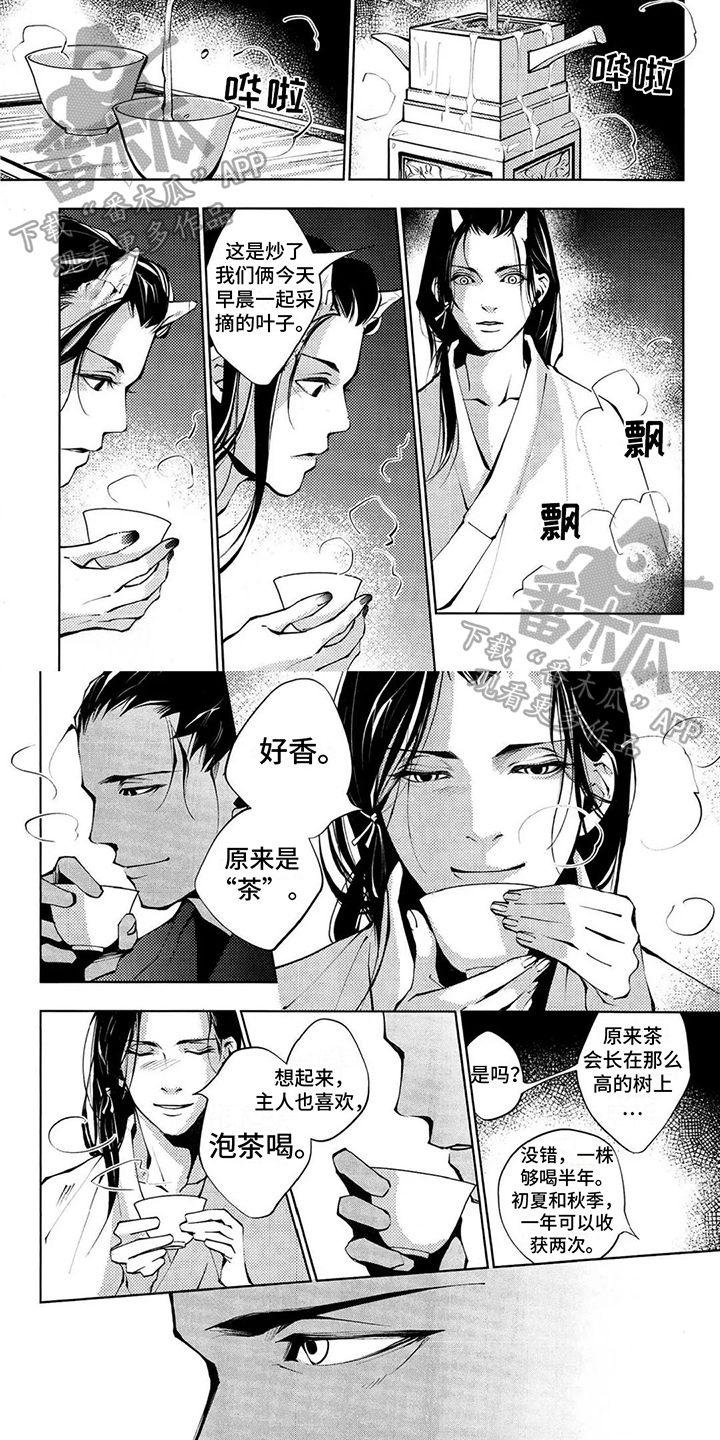 第5话：第5章：泡茶预览分镜