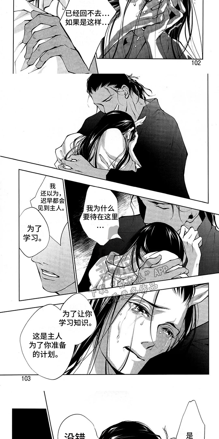 第11话：第11章：想法预览分镜