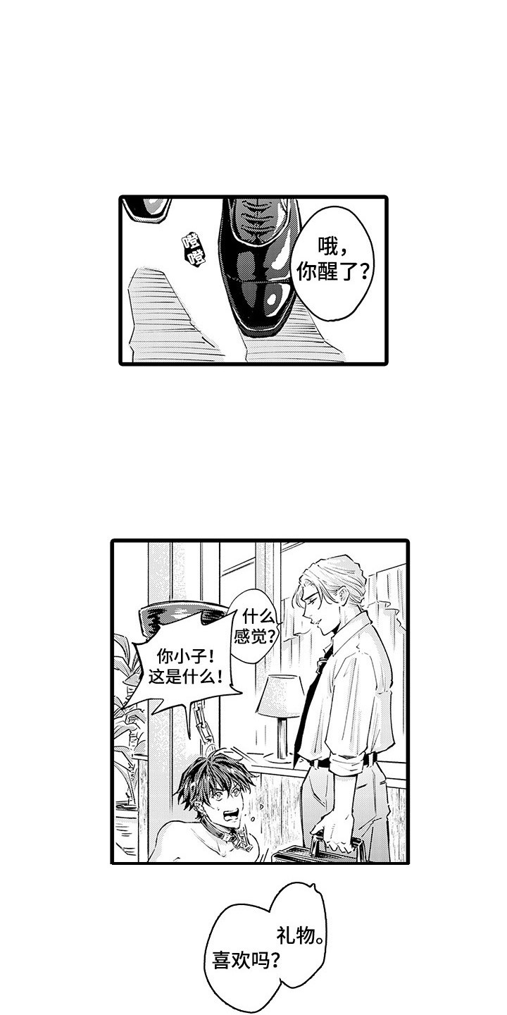 第2话：第2章：请多指教预览分镜