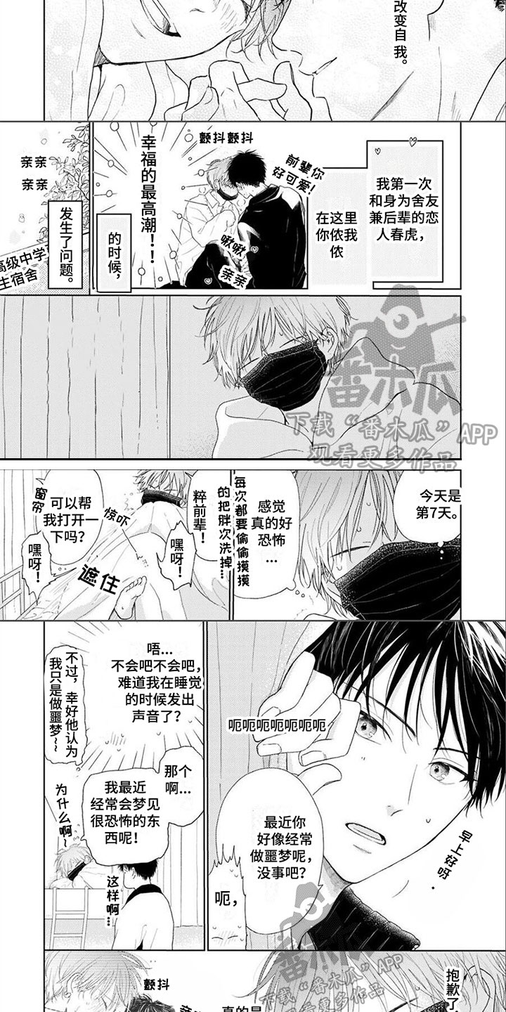 第13话：第13章：幸福预览分镜