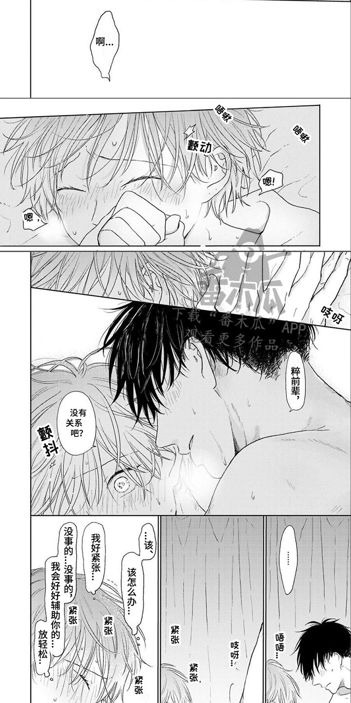 第17话：第17章：一样的预览分镜