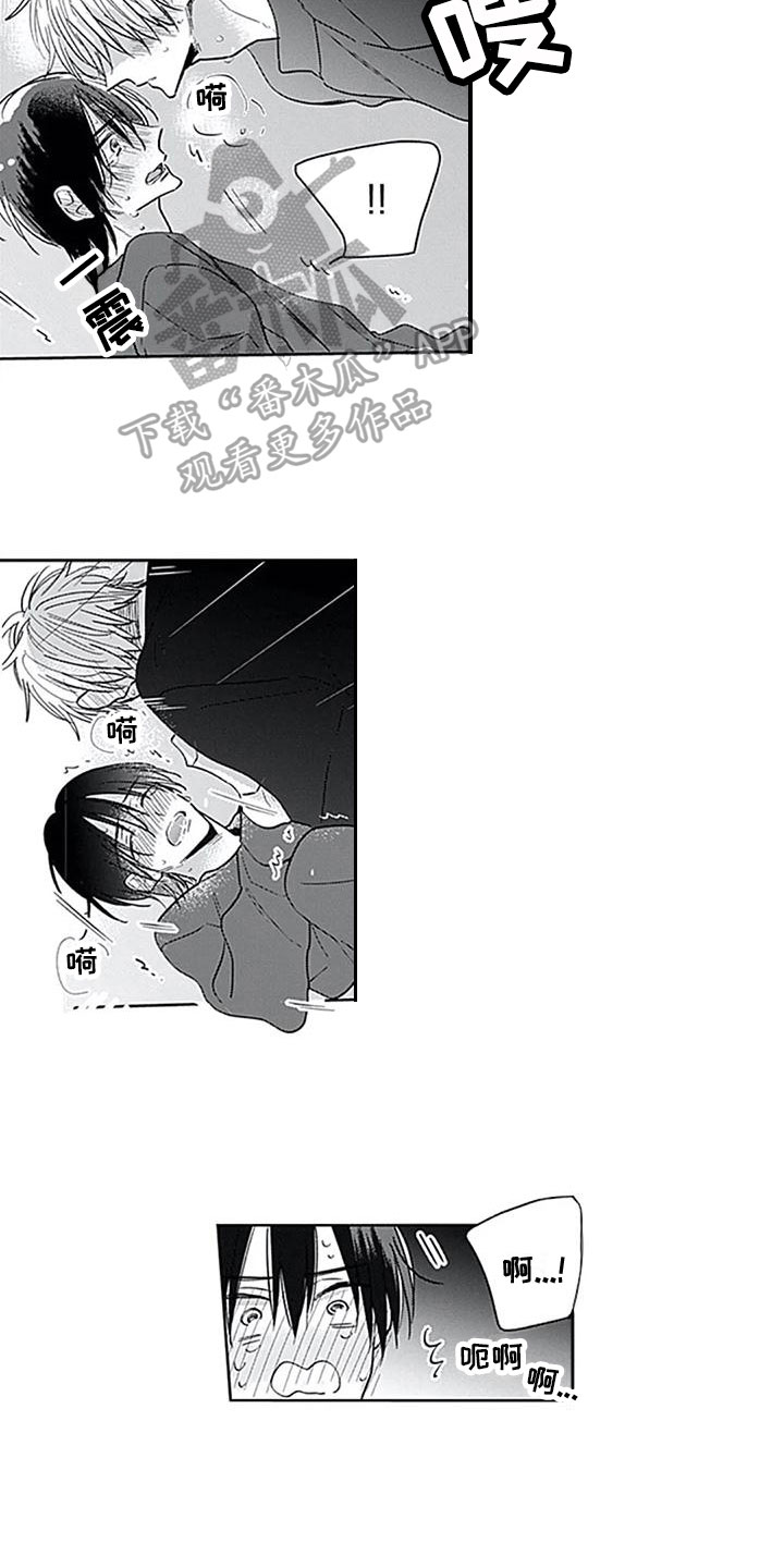 第15话：第15章：住一起预览分镜