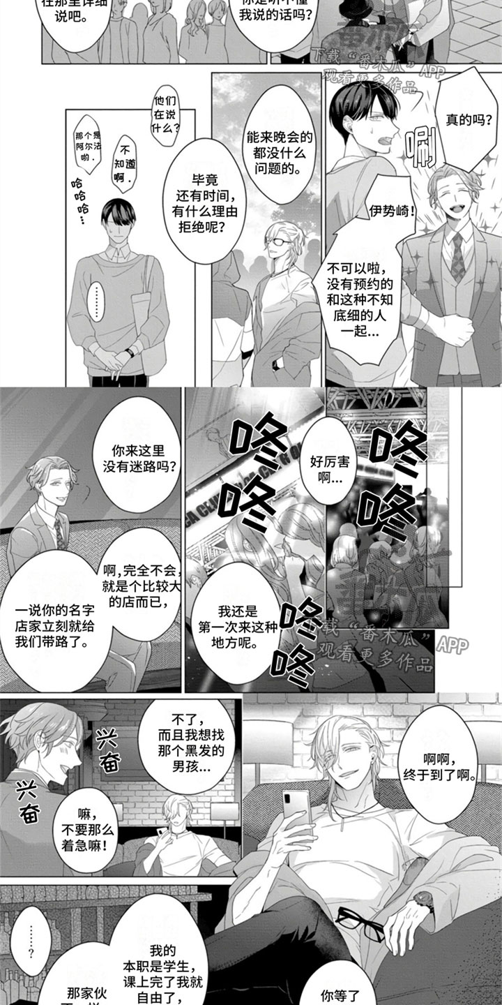 第5章:做选择吧