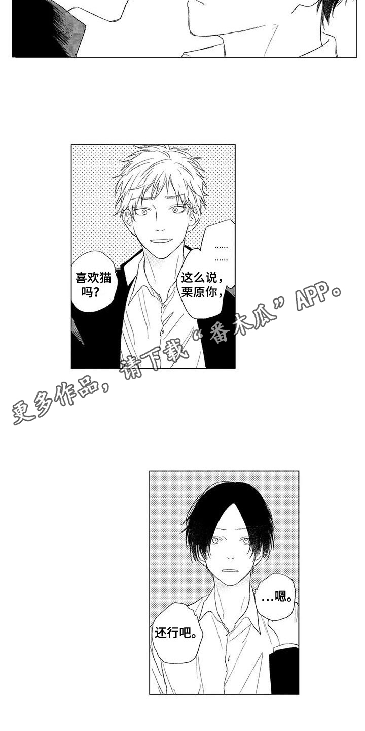 第17话：第17章：情不自禁预览分镜