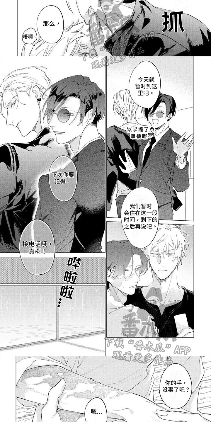第16话：第16章：理解预览分镜