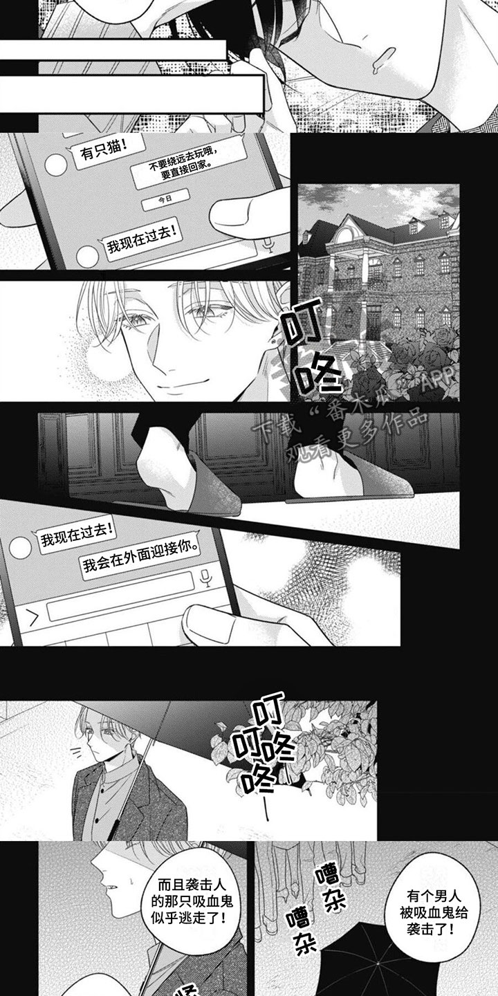 第8话：第8章：再次相遇预览分镜