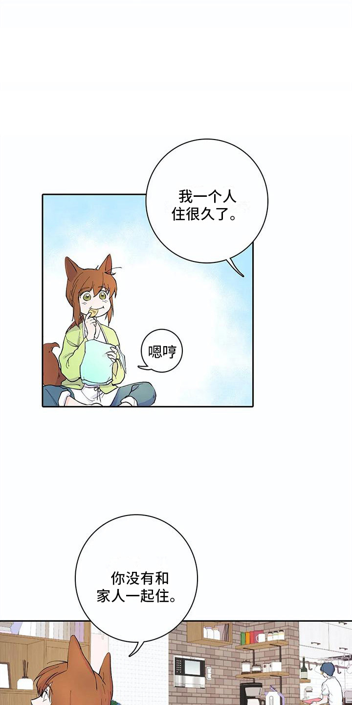 第13话：第13章：共同目标预览分镜