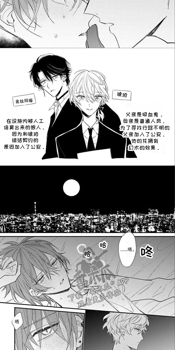 第11话：第11章：喝吗？预览分镜
