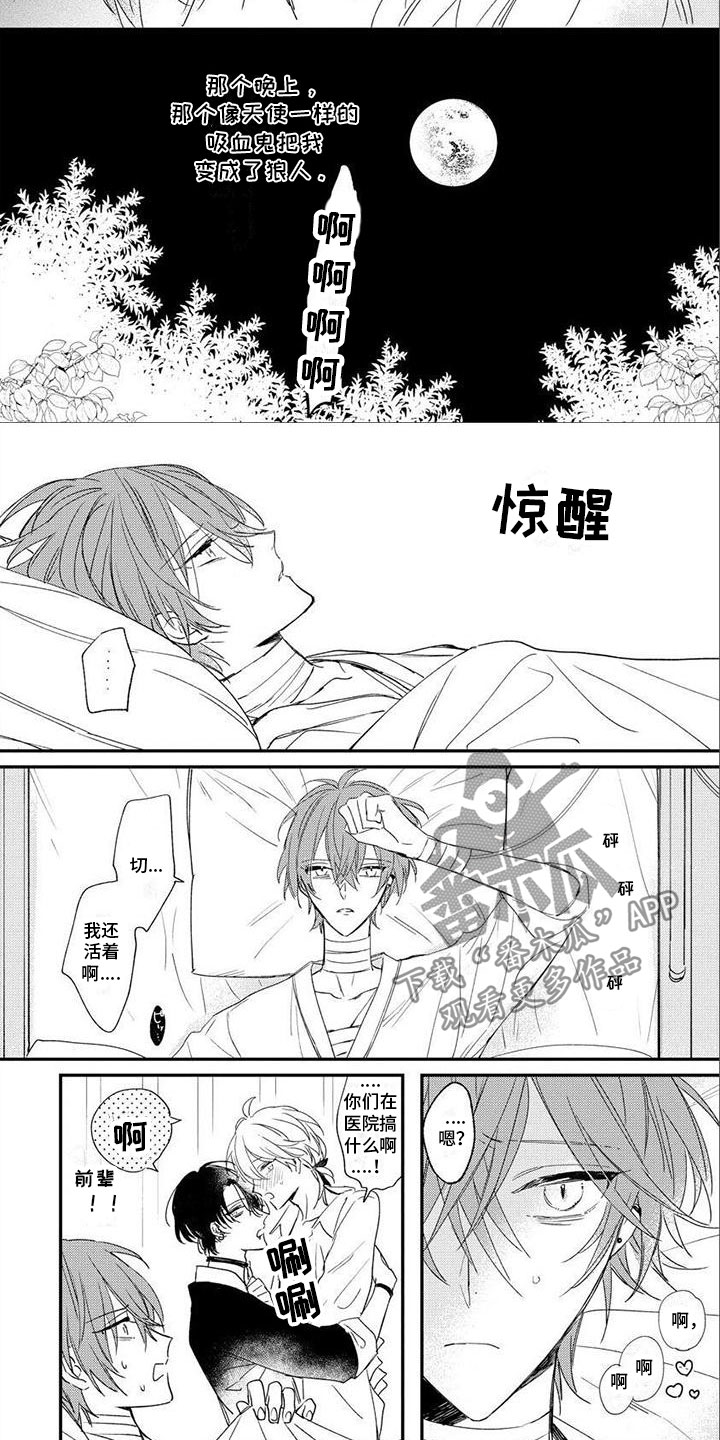 第17话：第17章：小时候预览分镜