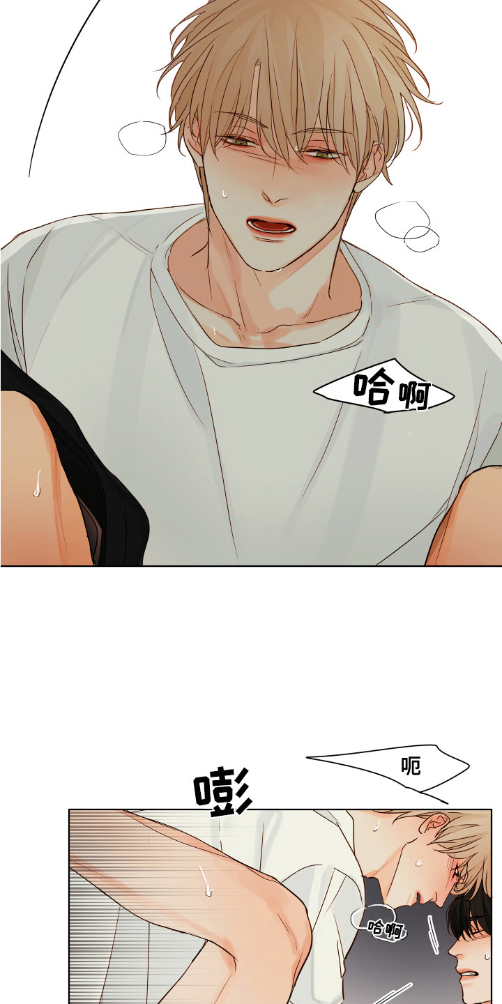 第13话：第13章：很可爱（完结）预览分镜