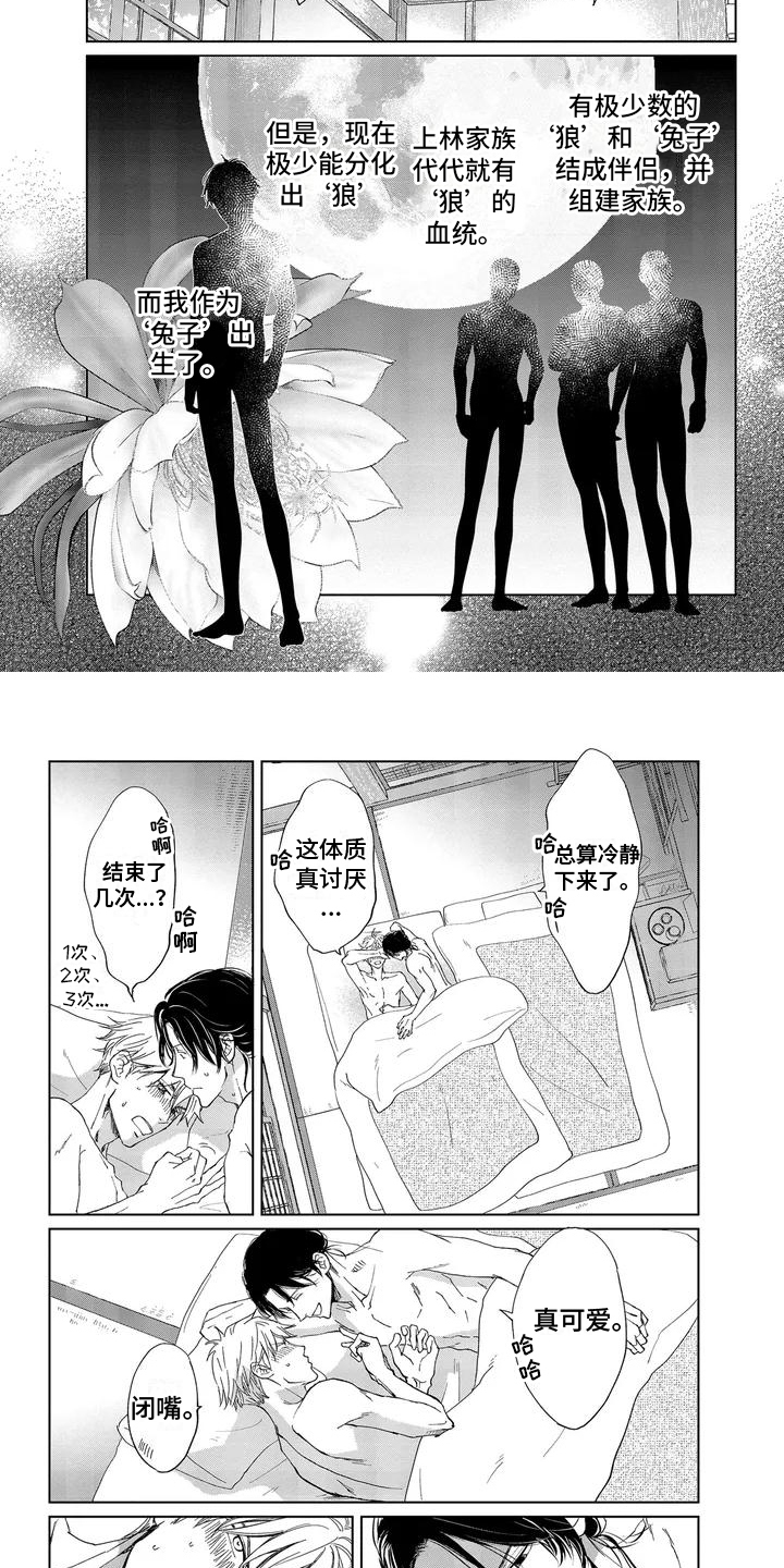 第1话：第1章：体质预览分镜