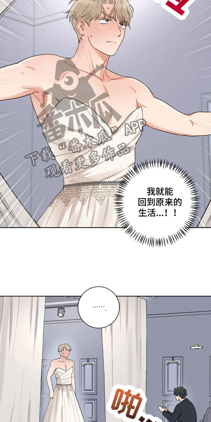 第10话：第10章：求婚预览分镜