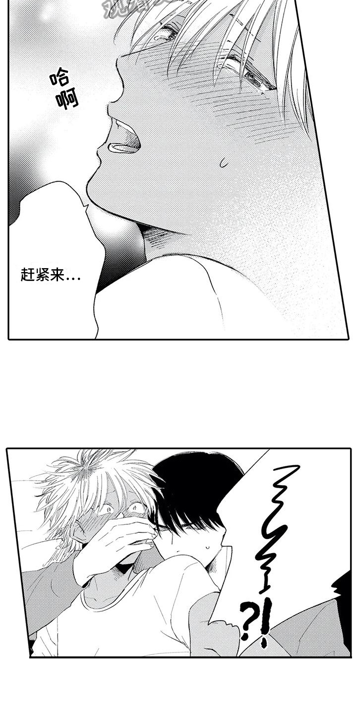第31章:【番外】特别