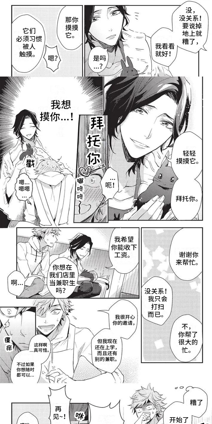 第1话：第1章：兔毛过敏预览分镜