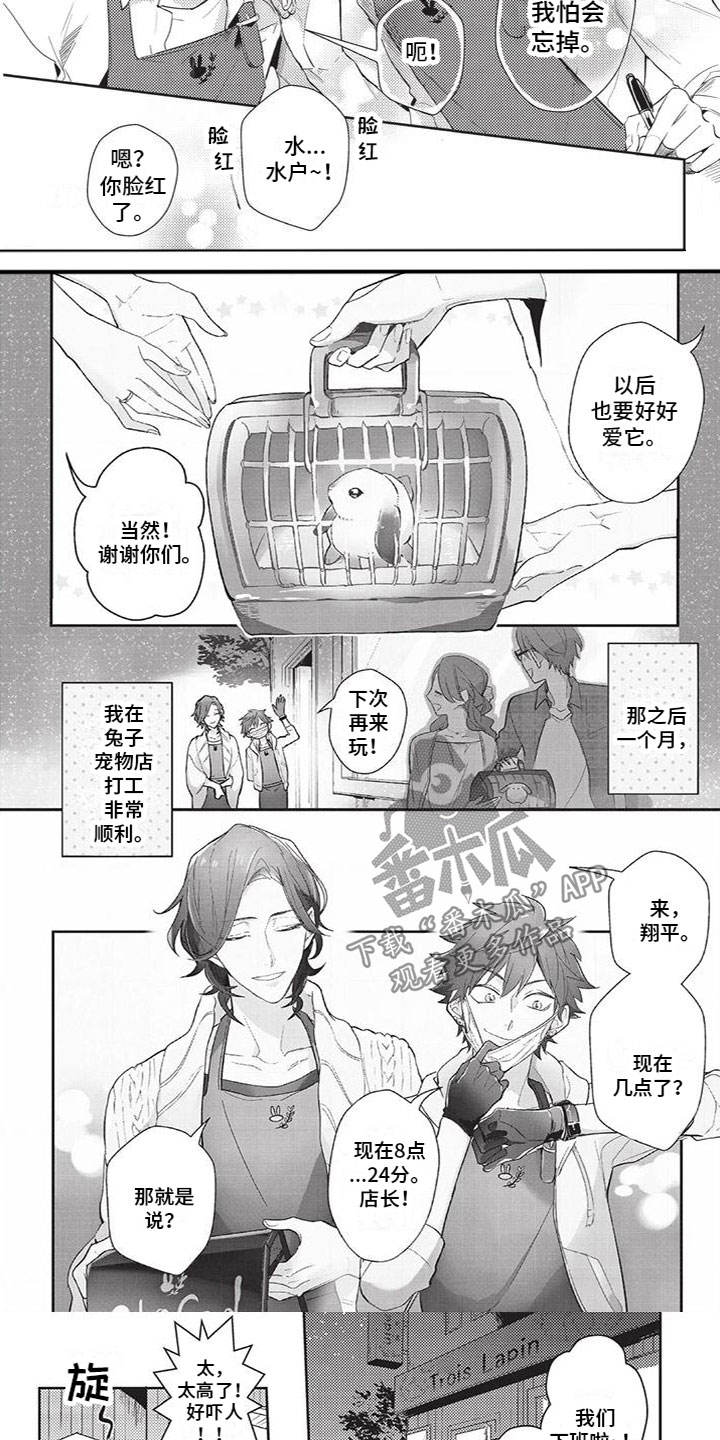 第6话：第6章：好幸福预览分镜