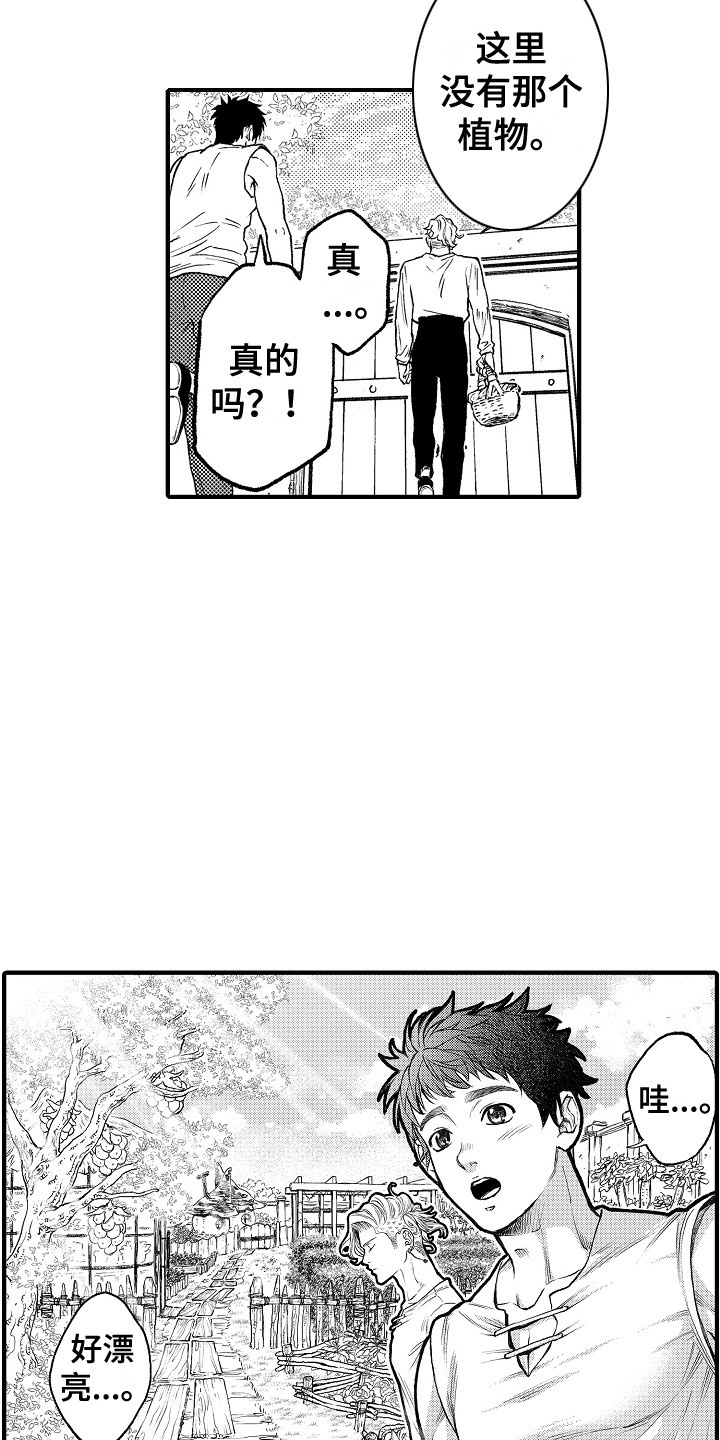 第8话：第8章：果园预览分镜