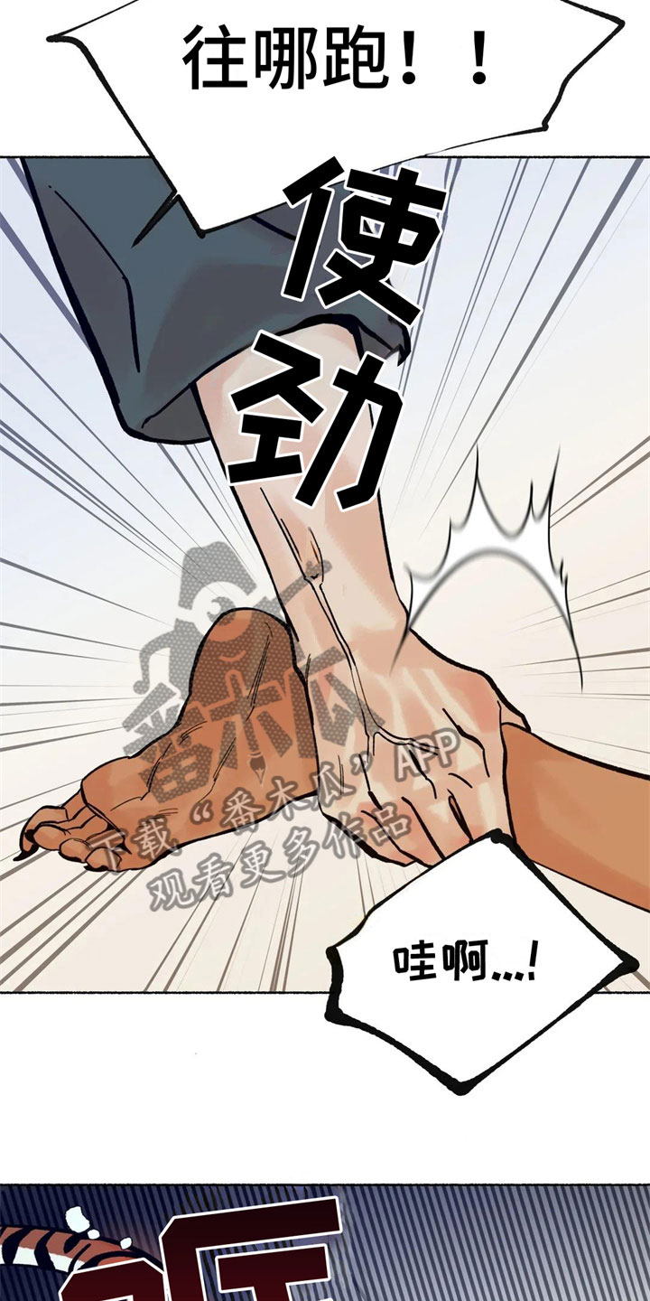 第8话：第8章：误认预览分镜
