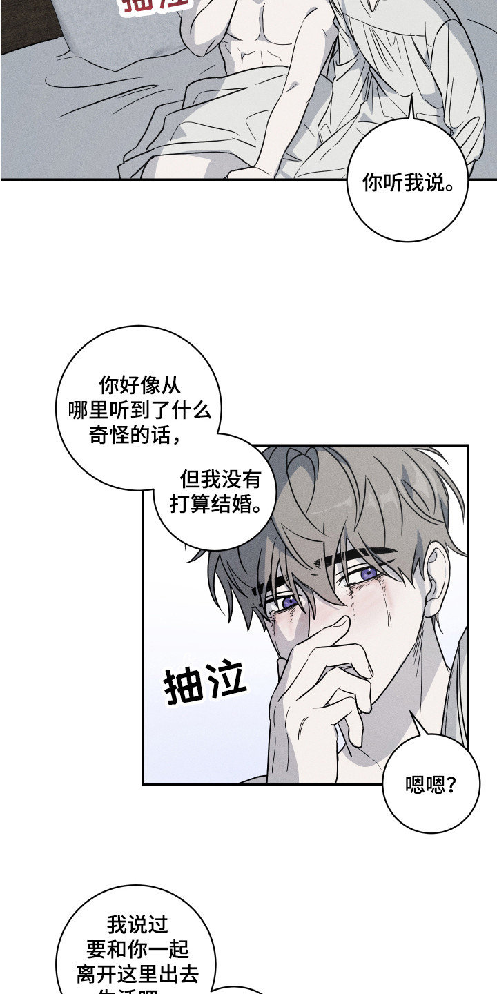 第10话：第10章：解释预览分镜