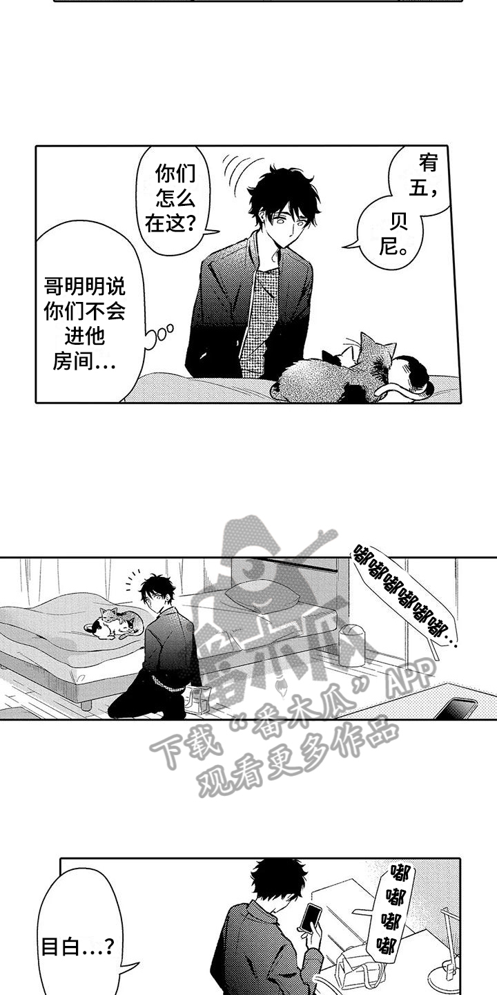 第17话：第17章：电话预览分镜