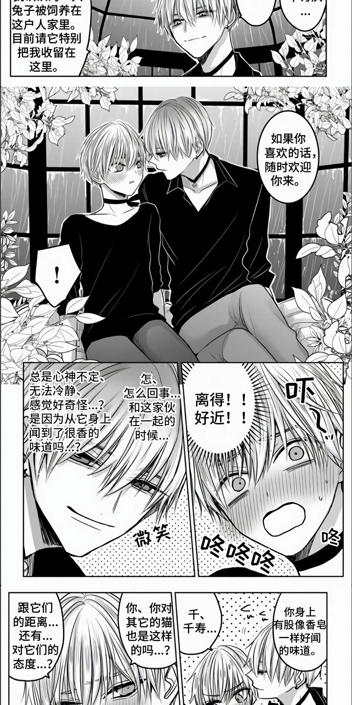 第3话：第3章：被拐走了预览分镜